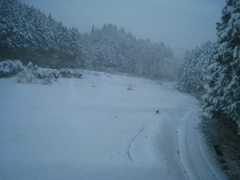 智頭急行線沿線の雪景色です